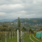 bosna hersek üniversitesi