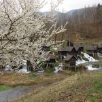 bosna hersek üniversitesi